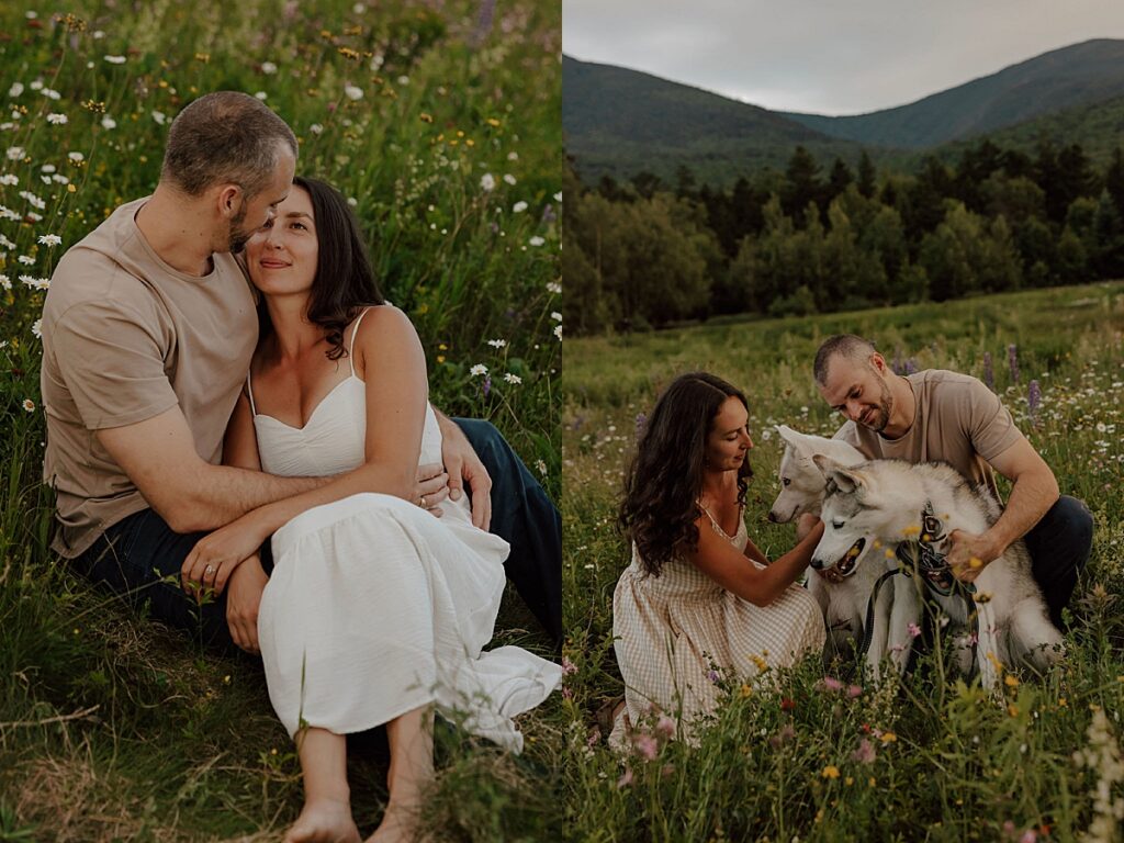 Couple sitting together in a mountain wildflower meadow and kneeling to pet their two husky dogs during a New Hampshire engagement session.