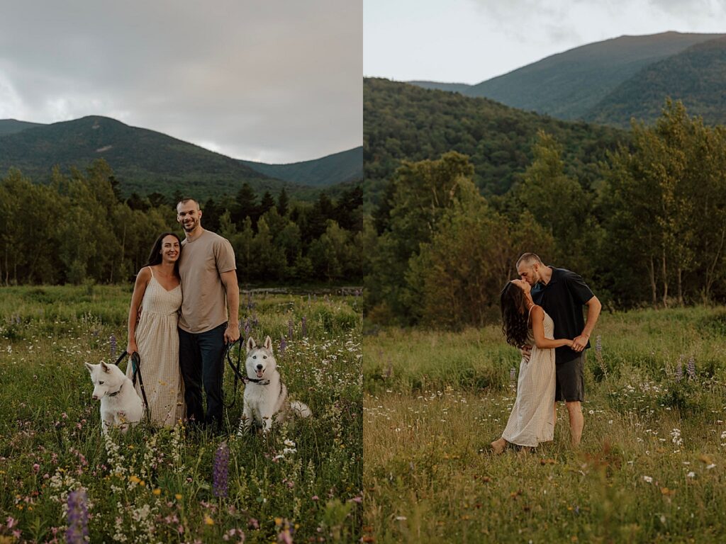 Couple standing in a wildflower meadow with two husky dogs and kissing in the field with New Hampshire mountains in the background.