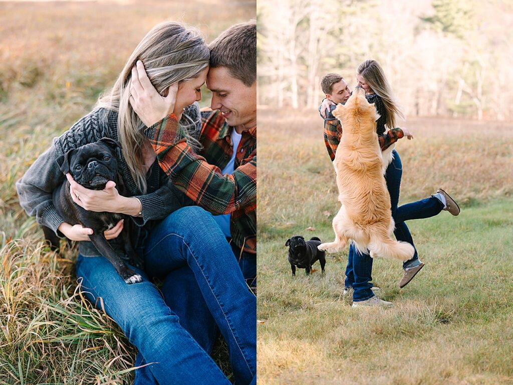 Couple cuddling with black pug in tall grass; second panel shows golden retriever jumping up while couple embraces in meadow.