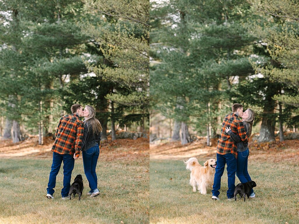 Couple walking through grassy field with their pug and golden retriever; second panel shows them turning to kiss beneath tall pine trees.
